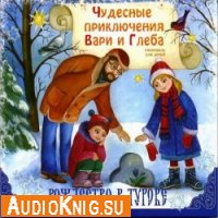 Чудесные приключения Вари и Глеба. Рождество в Турове (аудиокнига)
